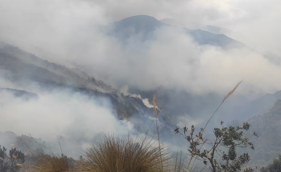Bolivia despliega bomberos y militares para combatir los incendios forestales