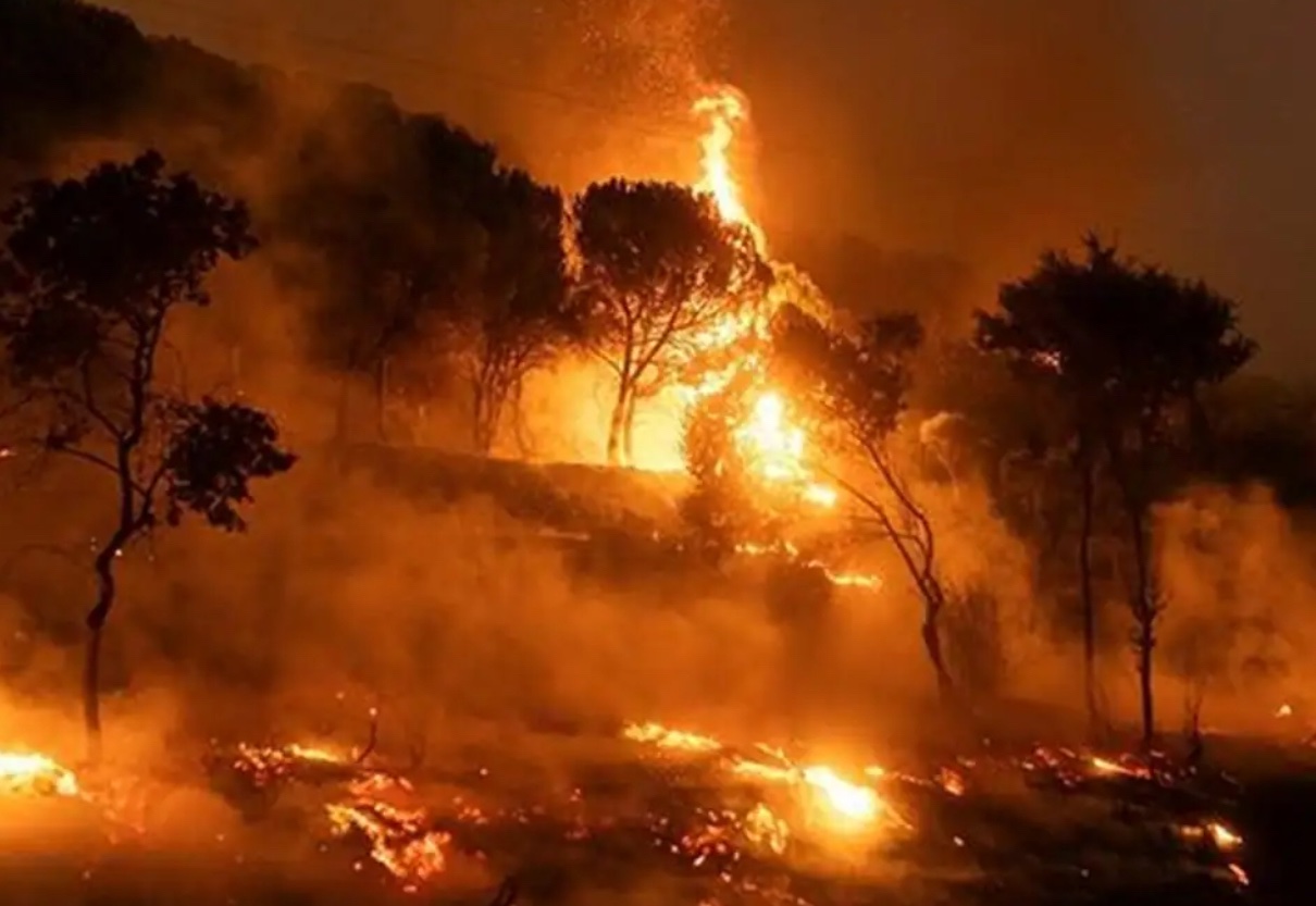 El incendio forestal en Grecia es «el mayor incendio forestal jamás registrado en la Unión Europea «