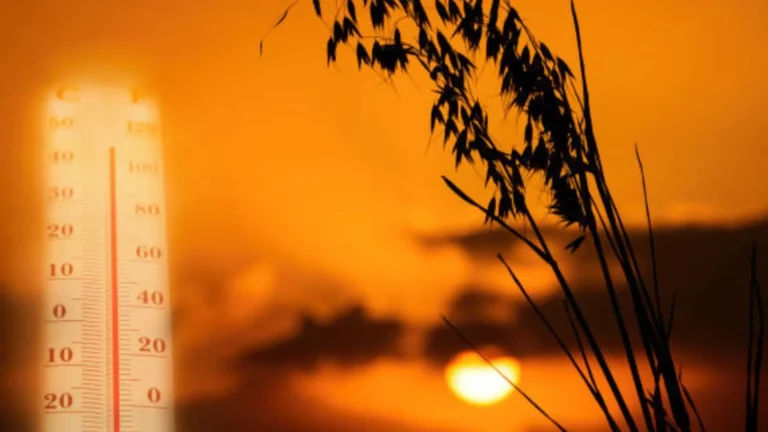 Calor letal: científicos advierten que el mundo sumará 57 días de temperaturas peligrosas al año