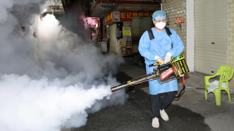 Confirman el primer caso local de chikungunya en Nueva York: el virus que causó cuarentenas en China llega a EE. UU.